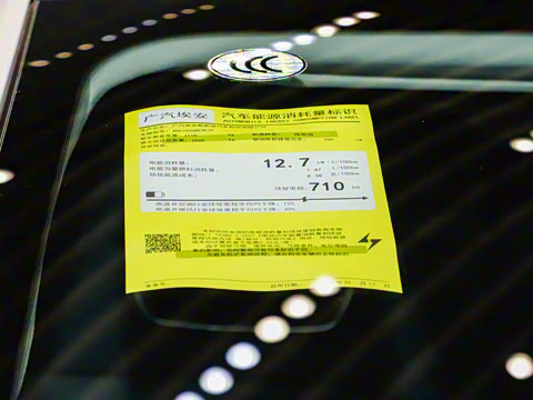 2025�� 710 Max��