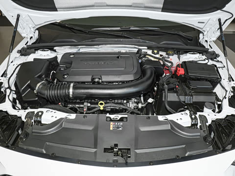 2025�� 28T ������