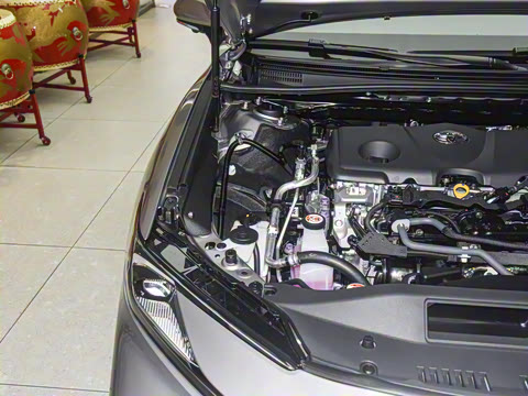 2026�� ˫�� 2.5HXS �˶�Plus��