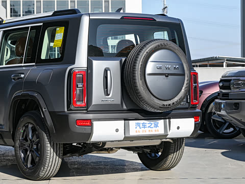 2025�� 2.0T 4WD Pro