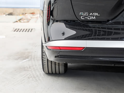 2025�� ��� ����������