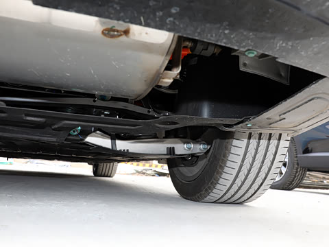 2025�� ��� ����������