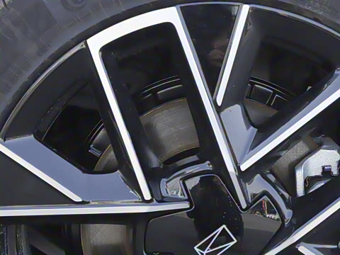 2025�� Elite�����