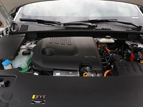 2026�� ������������Plus