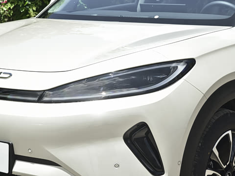 2026�� DM-i 305�Ǻ���