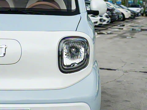 2026�� 222km �Ų���