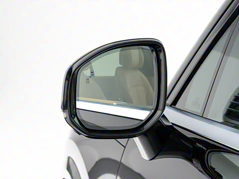 2025�� Max�� 55kWh