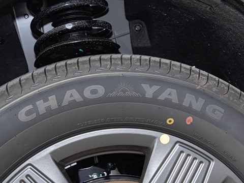 2025�� 520���а�