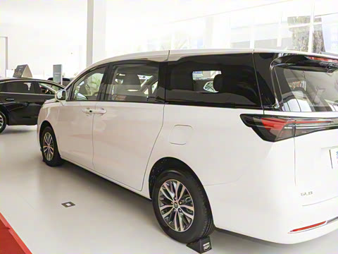 2025�� ½�Ϲ���� ����DG��