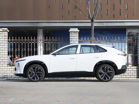 2025�� ����600 Max