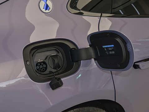 2026�� ����������������