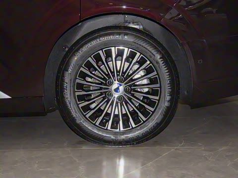 2025�� DM-i ����������