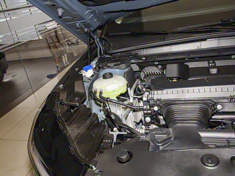 2025�� �Ŀ� 2.0T ����������