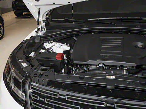 2026�� 250PS Dynamic SE