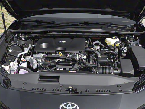 2026�� ˫�� 2.0HS �˶���