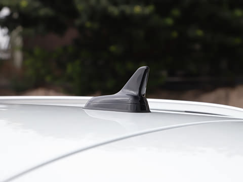 2026�� 300TSI DSG���������