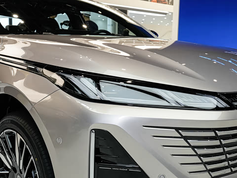 2026�� 1.5L �������� ������