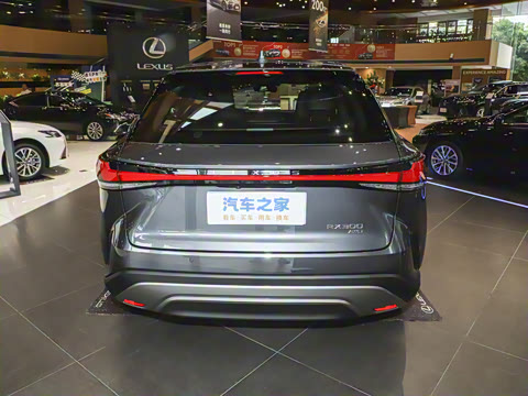 2025�� 300 ����������