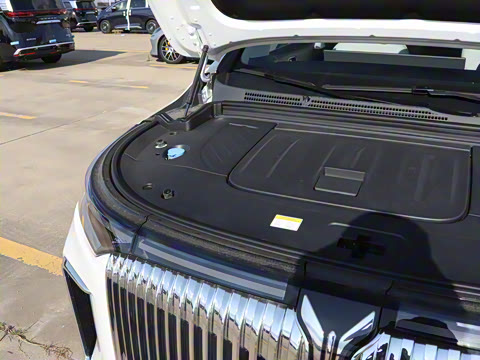 2025�� EV �������������