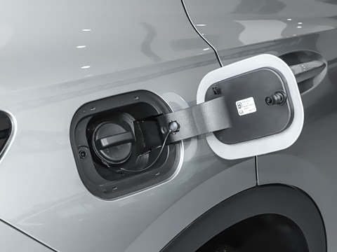 2025�� 25T �׽��