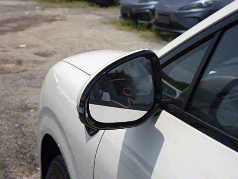 2025�� DM-i 121�캽��