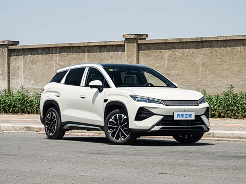 2026�� DM-i 310KM ��Խ��