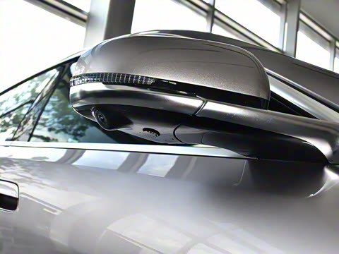 2026�� �����������̰� 310������