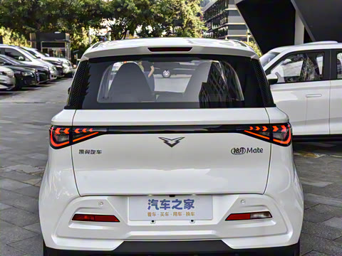 2026�� Mate 201km �����