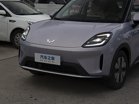 2025�� 325km ������