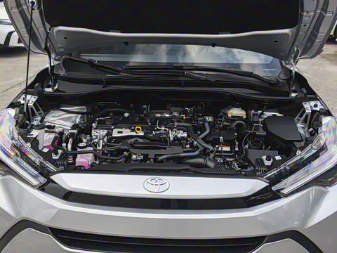 2026�� 2.0L ���ܵ��˫�� ������