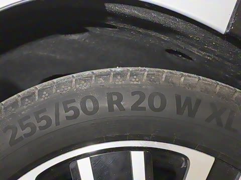 2025�� ������