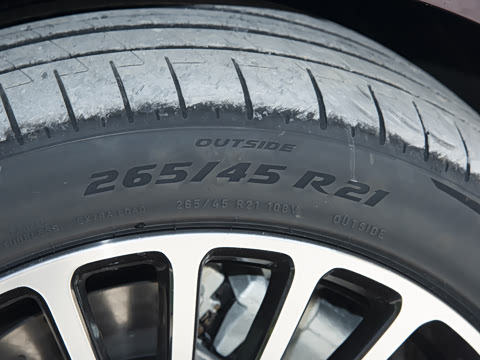 2025�� ���� Max+ ������������ 