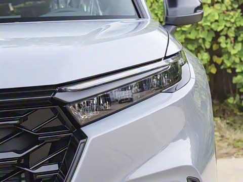 2026�� ȫ��30����ҫ�� 2.0L e:HEV ����������