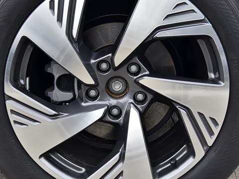 2026�� ��������