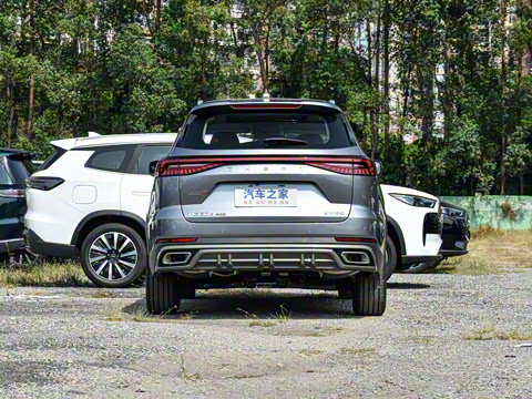 2025�� 290T ��������+