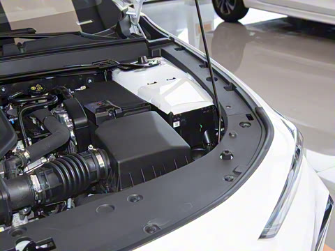 2025�� ������ 2.0T ������