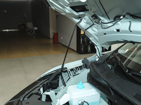 2026�� ��ƽ�� ������������