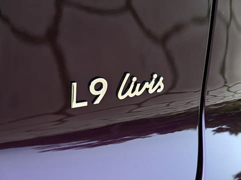 2026�� Livis