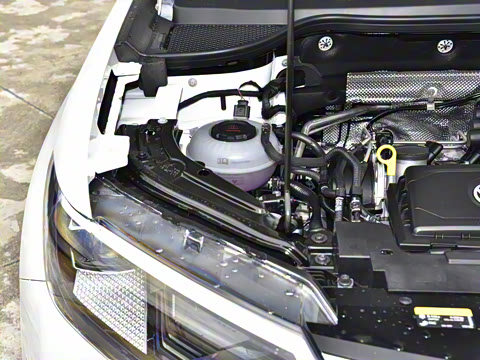 2026�� 280TSI �Զ��ȷ��