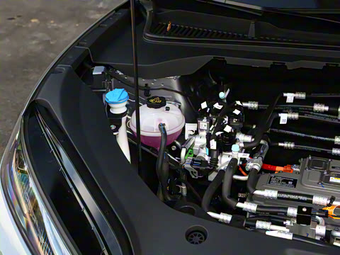 2025�� 520�ǻݳ��а�