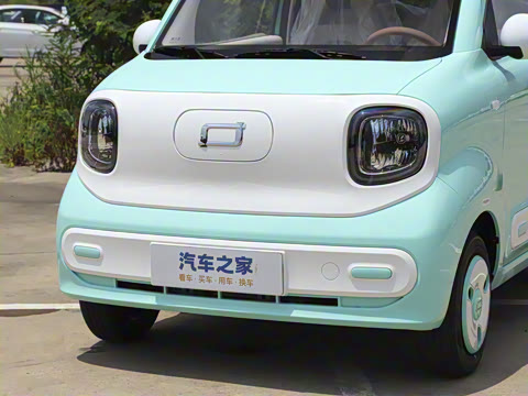 2026�� 222km ��ҫ��