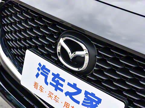 2025�� 1.5L �ֶ�������