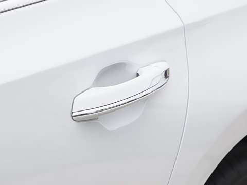 2026�� 2.0T �Զ��쳩Pro��
