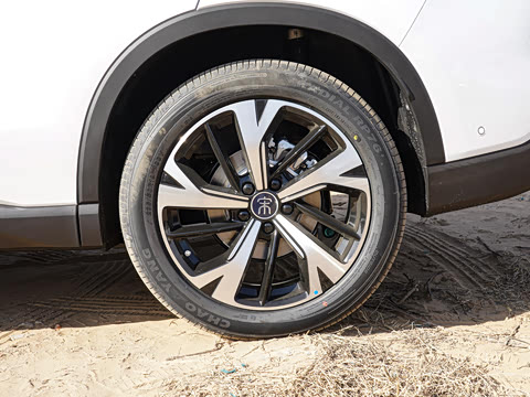 2026�� DM-i 220KM��Խ��