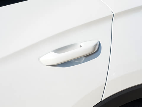 2026�� DM-i 220KM��Խ��