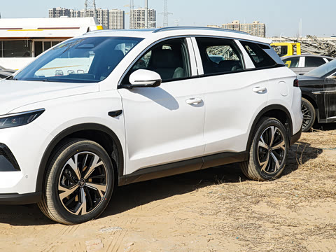 2026�� DM-i 220KM��Խ��