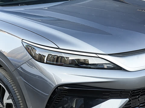 2026�� DM-i 220KM��Խ��