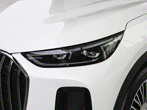 2026�� 9X 2.0T �Զ����������