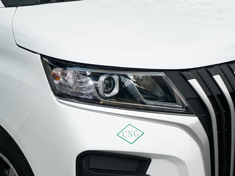 2026�� 2.0L �ֶ����������� 7�� CNG