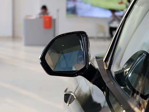 2026�� Max �����ɹ��� ����